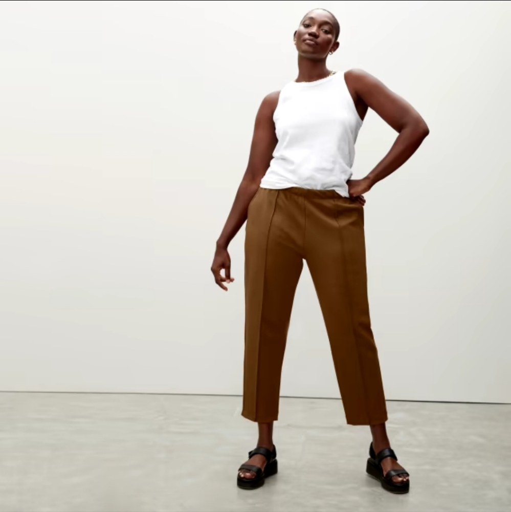 Everlane Dream Pant